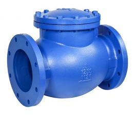 Check valve