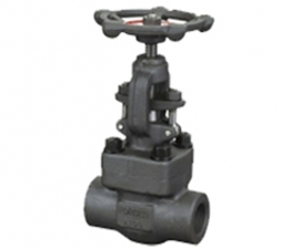 Globe valve